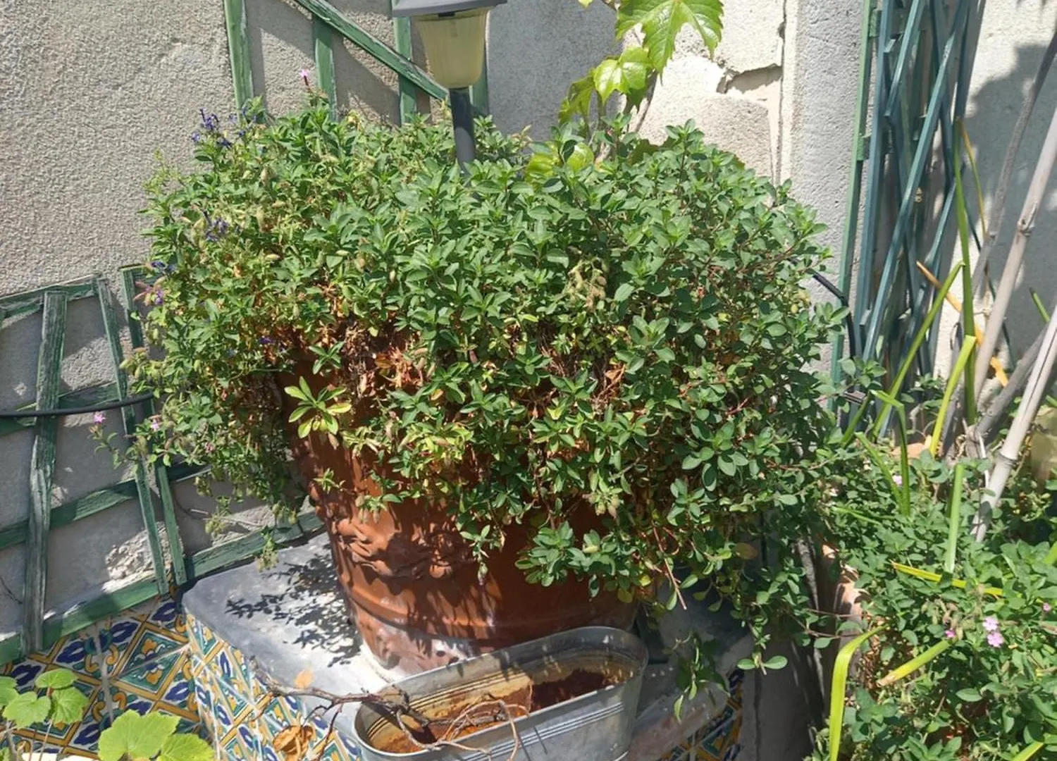 Duplex Terrasse Coeur De Paris Montorgueil Apartment